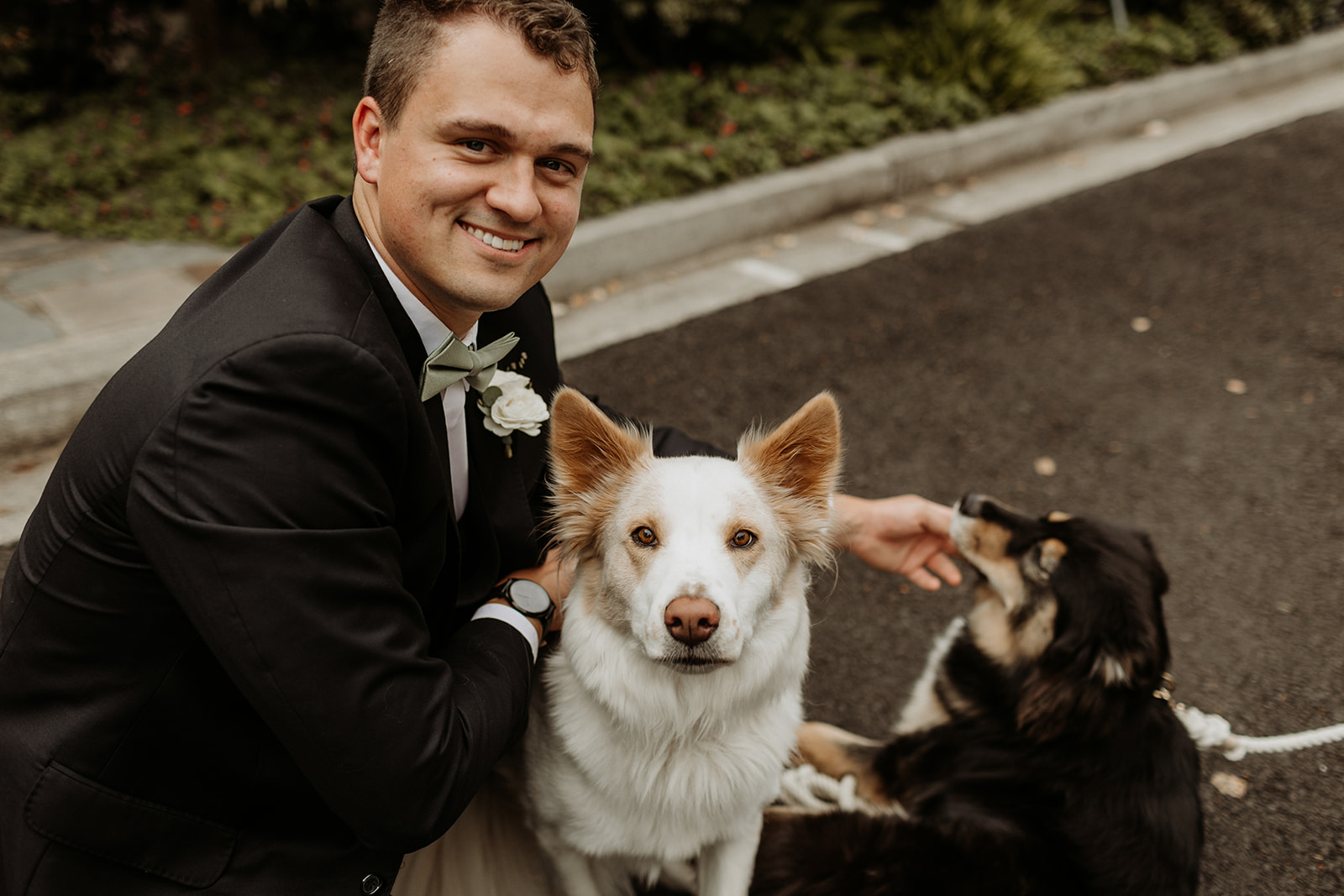 dog wedding photo